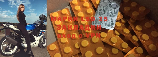 сатива Алагир